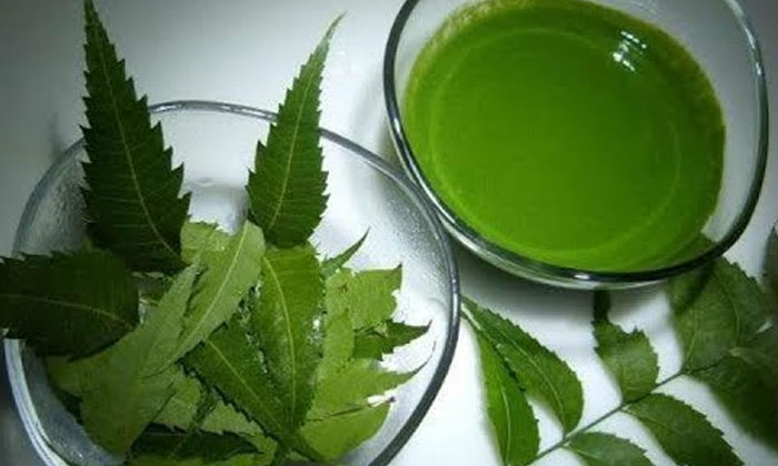 Telugu Aloe Vera, Fungal, Tips, Immunity, Neem Tree, Stress-Telugu Health