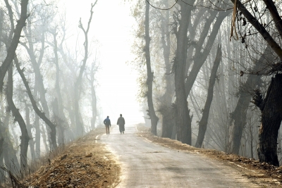  Heavy Fog In J&k Cities, Snow & Rain Predicted Today-TeluguStop.com