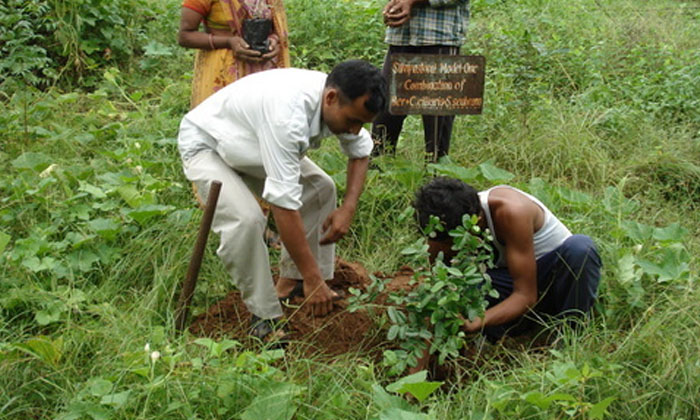 Telugu Gate, Paid, Indian Foreign, Indian Forest-Latest News - Telugu