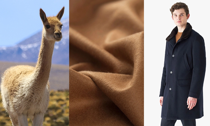 Telugu Camel Wool, Fabric, Italy, Luxuryvicuna, Vicuna, Vicuna Fabric, Expensiv