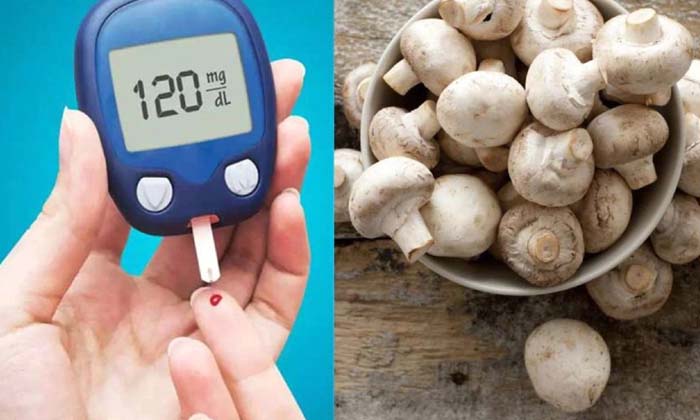  Can People With Diabetes Eat Mushrooms , Diabetes ,mushrooms , Diabetes Eat Mush-TeluguStop.com