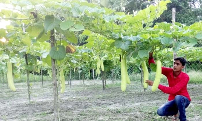 Telugu Bihar, Dinesh Kumar, Ideal, Muzaffarpur, Nationalgarden, Parwal Nimma, Sa