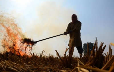  Punjab Sees 30% Decrease In Stubble Burning Incidents: Minister-TeluguStop.com