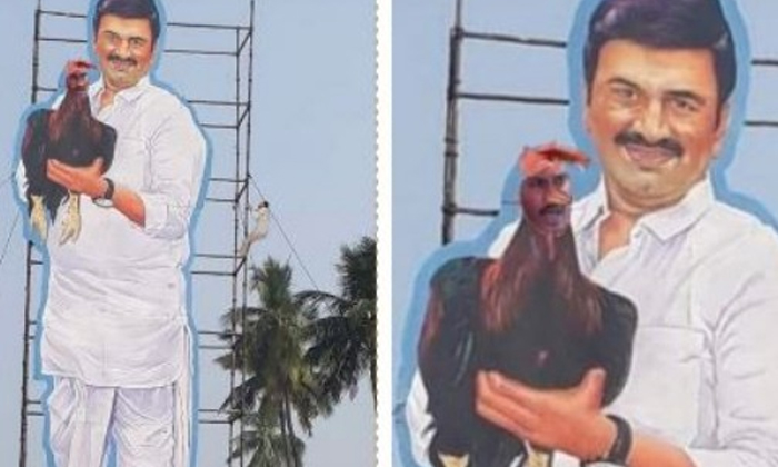  Ragurama Krishnam Raju Cut Out At Sankranthi Celebrations , Ragurama Krishnam Ra-TeluguStop.com