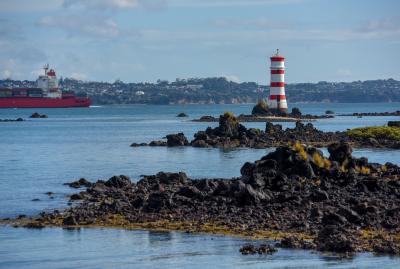  Record Rainfall Overnight In Auckland Causes Massive Flooding-TeluguStop.com