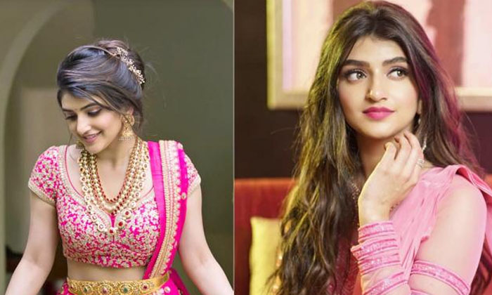 Telugu Dhamaka, Pelli Sandad, Ravi Teja, Sai Dharam Tej, Sreeleela, Tollywood-Mo