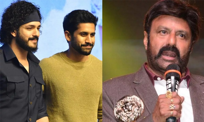 Telugu Akkineni, Akkineni Akhil, Balakrishna, Balayya, Naga Chaitanya, Nagarjuna