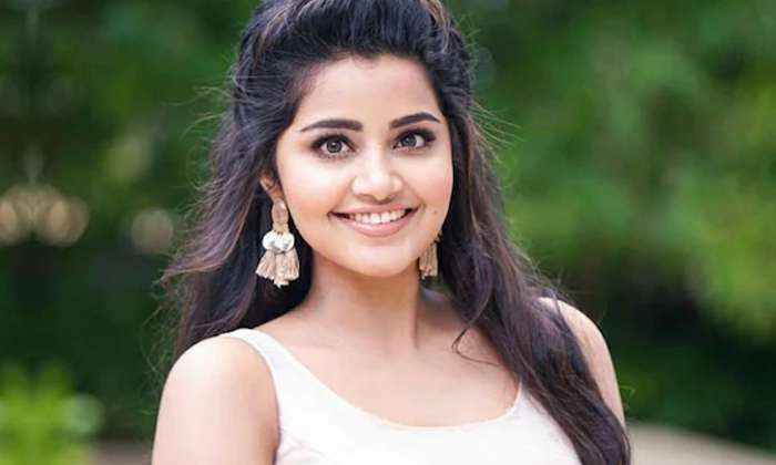  The Netizen Wants To File A Case Against Anupama, File A Case , Anupama, Tollyw-TeluguStop.com