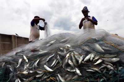  Tn Govt To Continue Raids Against Fishermen Using Banned Trawl Nets-TeluguStop.com