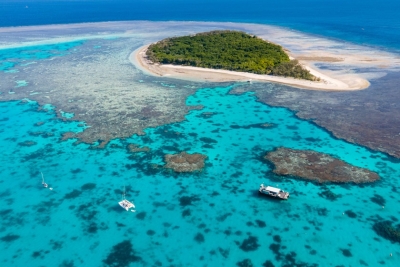  Warming Water Inhibits Growth Of Great Barrier Reef Coral: Study-TeluguStop.com