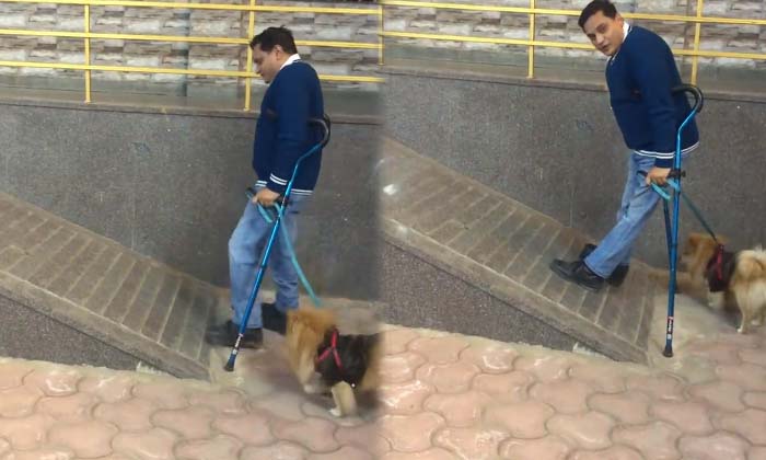 The Bitter Experience Of A Disabled Person Who Went To A Food Stall , Satyendra The Bitter Experience Of A Disabled Person Who Went To A Food Stall , Satyendra-TeluguStop.com