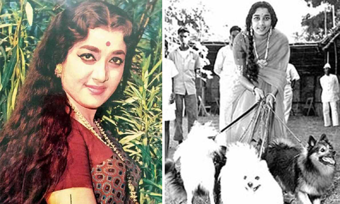 Telugu Actress Jamuna, Jamuna, Jamuna Pet Dogs, Tollywood-Movie