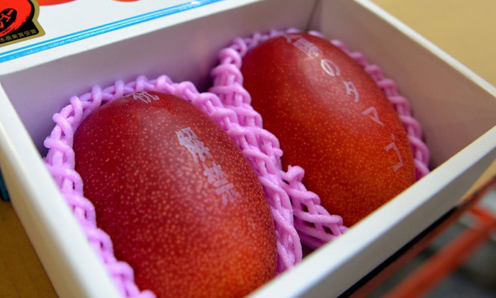  Worlds Most Expensive Mango Miyazaki Mango Japan Details, Worlds Most Expensive-TeluguStop.com