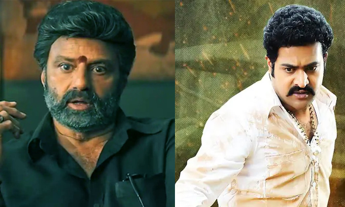 Young Tiger Ntr In Balakrishna Veerasimhareddy Movie Details, Balakrishna, Young Young Tiger Ntr In Balakrishna Veerasimhareddy Movie Details, Balakrishna, Young-TeluguStop.com