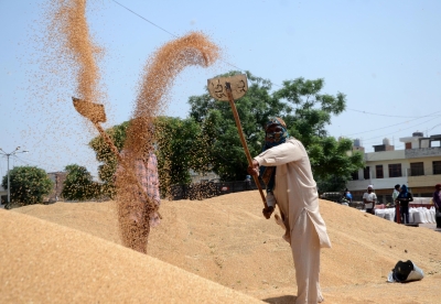  9.2 Lakh Metric Tonnes Of Wheat Sold Through E-auction By Fci-TeluguStop.com