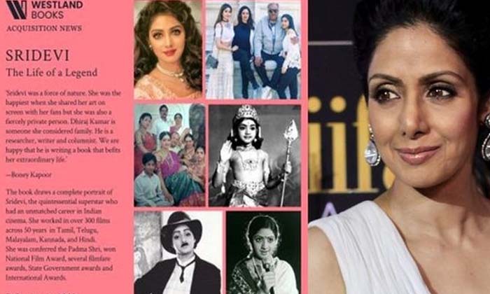 Telugu Actress Sridevi, Actresssridevi, Bonikapur-Movie