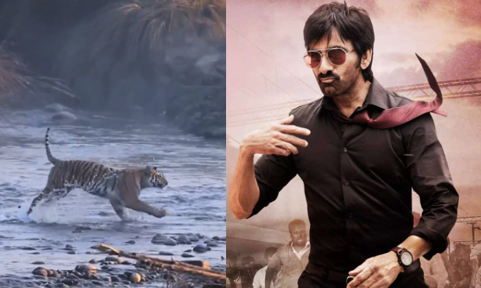 Telugu Bandla Ganesh, Bandlaganesh, Dhamaka, Dhamaka Meet, Pawan Kalyan, Ravitej Telugu Bandla Ganesh, Bandlaganesh, Dhamaka, Dhamaka Meet, Pawan Kalyan, Ravitej