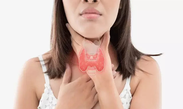  Suffering From A Thyroid Problem? But Eat Coriander , Coriander, Health , Health-TeluguStop.com