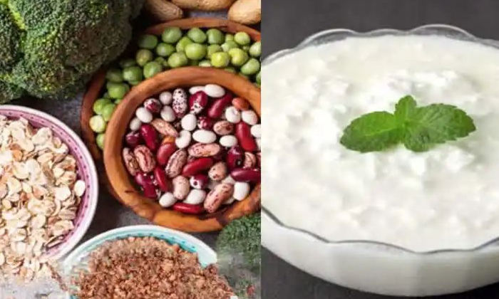 Telugu Apro Biotics, Bacteria, Biotics, Tips, Probiotics, Yogurt-Telugu Health