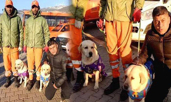  Indian Dogs Squad Landed In These Five Countries Earthquake, Rescue Dogs , Oper-TeluguStop.com