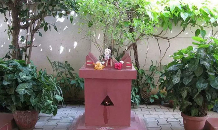 Telugu Basil, Devotional, Ekadashi, Garuda Puran, Garuda Purana, Lakshmi Devi, T