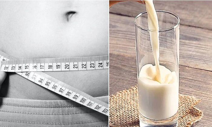  Consuming This Milk Has Many Benefits From Weight Loss To Bp Control!, Seeds And-TeluguStop.com