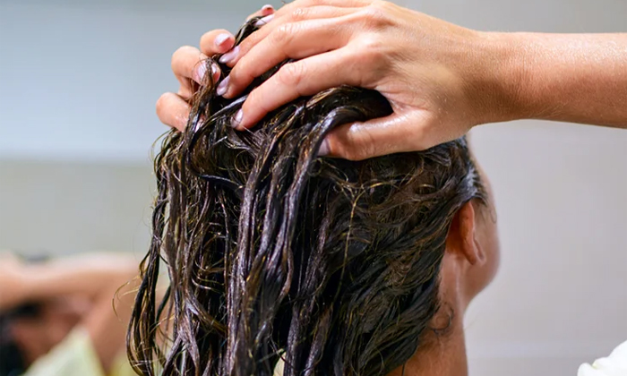 Telugu Care, Care Tips, Grow, Latest, Long, Olive Oil, Fall, Thick, Thin-Telugu Telugu Care, Care Tips, Grow, Latest, Long, Olive Oil, Fall, Thick, Thin-Telugu