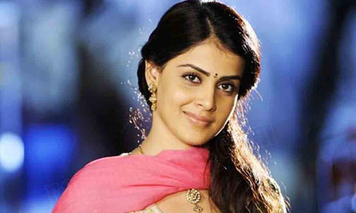 Who Is That Star Hero Who Cheated Genelia Janiliya, Tollywood, Bommarillu, Orang Who Is That Star Hero Who Cheated Genelia Janiliya, Tollywood, Bommarillu, Orang-TeluguStop.com