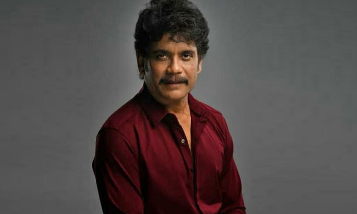 Telugu Akkineni Fans, Nagarjuna, Mazaa, Pooja Hegde-Movie