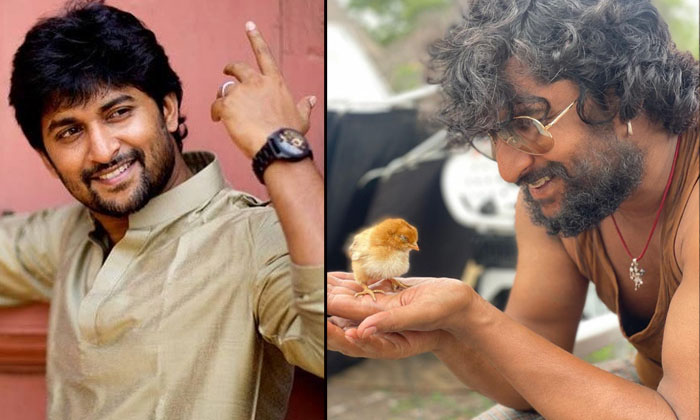  Nani Rachawith A Chicken Called A Costar Are You Playing A Game Nani , Chicken C-TeluguStop.com