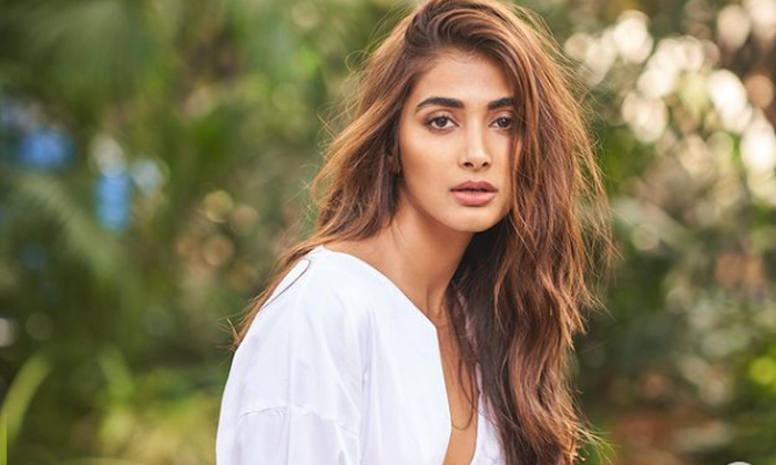  Actress Pooja Hegde New Film New Look Post Viral Social Media,pooja Hegde,netize-TeluguStop.com