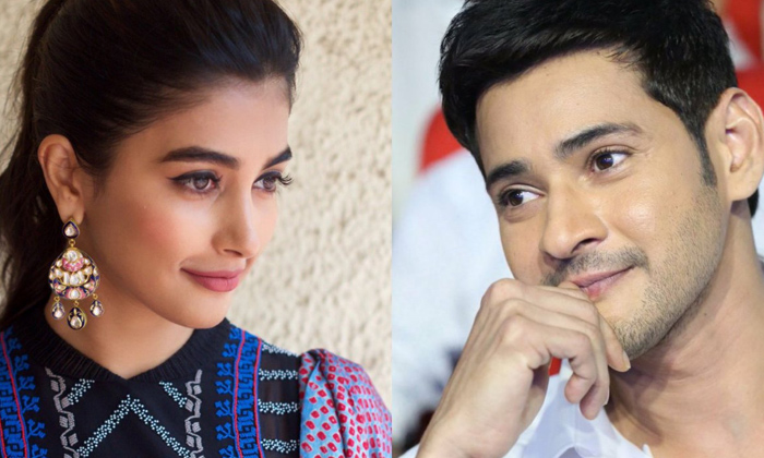 Telugu Khaleja, Mahesh Babu, Pooja Hegde, Ssmb, Trivikram-Latest News - Telugu