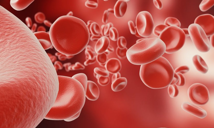 Telugu Anemia, Anemia Diet, Tips, Hemoglobin, Iron Deficiency, Red, Telugu-Telug