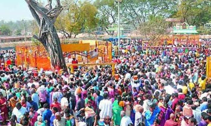  Mini Medaram Fair Started On February 1. Devotees Flocked In Large Numbers , Mad-TeluguStop.com