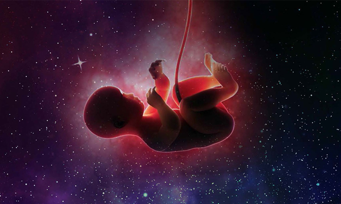  Scientists To Create Space Babies Using Ivf Treatment Details, Fetus In Space, D-TeluguStop.com