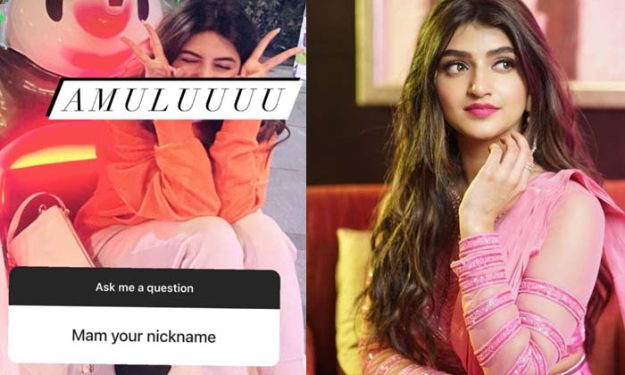 Telugu Amuluu, Pelli Sandad, Sreeleela, Sreeleela Hot, Tollywood-Movie