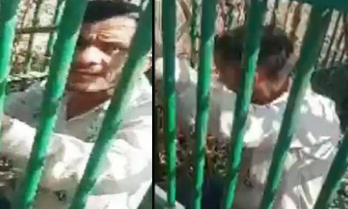  How Can A Man Get Trapped In A Cage Set Up For A Leopard, Bulandshahr, Uttar Pr-TeluguStop.com