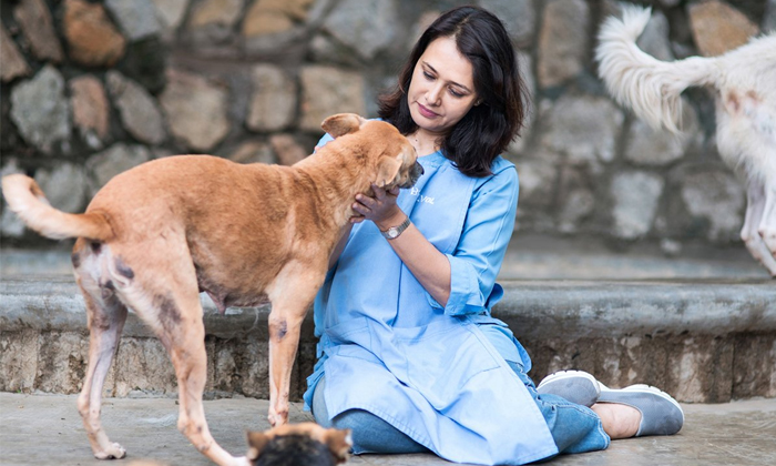  Akkineni Amala Shocking Comments On Amberpet Dog Attack Incident Details, Amala,-TeluguStop.com