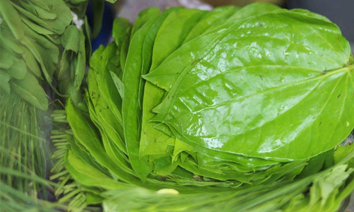  Benefits Of Eating Betel Leaf After Meal Details, Benefits Of Betel Leaf , Betel-TeluguStop.com