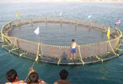  Cmfri Identifies 146 Potential Sites Along Indian Coastline For Sea Cage Farming-TeluguStop.com