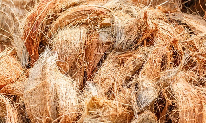  Coconut Husk Selling For 350 Rupees On Flipkart-TeluguStop.com