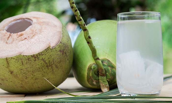 Telugu Celery, Coconut, Dehydrate, Yogurt, Fruit, Tips, Pain Stomach-Telugu Heal