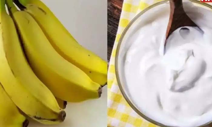 Telugu Banana, Breakfast, Tips, Healthy, Yogurt-Telugu Health Tips