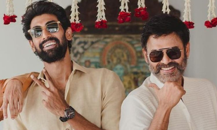  Daggubati Fans Want To Venkatesh And Rana Multi Starrer ,daggubati Family ,rana-TeluguStop.com