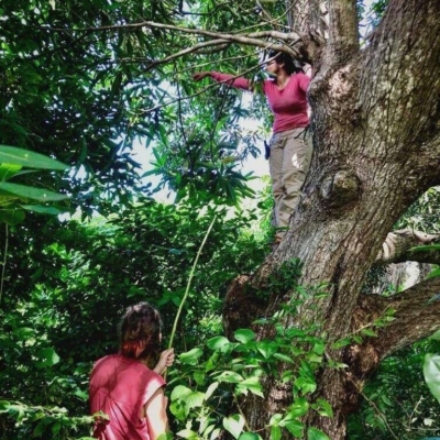  Despite Progress, Fieldwork Remains A Stumbling Block For Indian Women In Scienc-TeluguStop.com