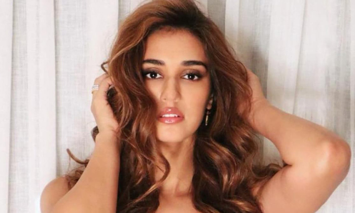 Telugu Bollywood, Dishapatani, Disha Patani, Loafer-Movie Telugu Bollywood, Dishapatani, Disha Patani, Loafer-Movie
