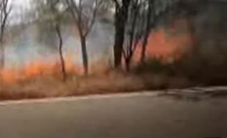  Another Fire In Nallamalla Forest Area-TeluguStop.com