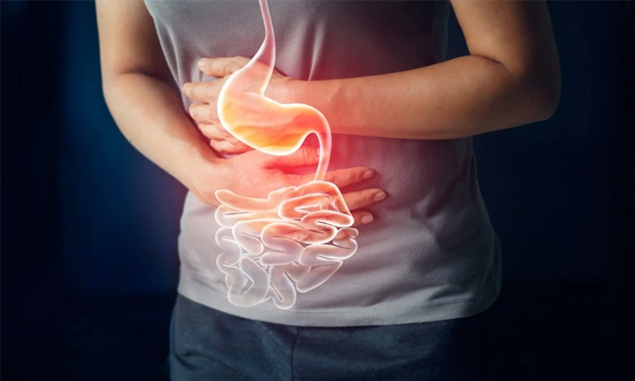  Follow These Remedies To Get Rid Of Stomach Related Problems Details,  Remedies-TeluguStop.com
