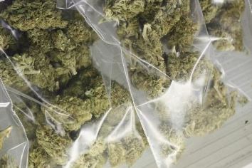 Ganja Riot In Visakhapatnam Ganja Riot In Visakhapatnam-TeluguStop.com