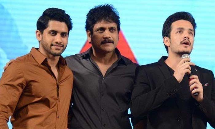  Huge Shock To Akkineni Family Details Here Goes Viral In Social Media , Balakris-TeluguStop.com